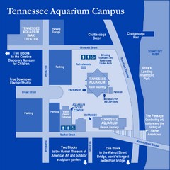 Tennessee Aquarium Campus Map