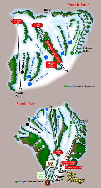 The Homestead Ski Trail Map