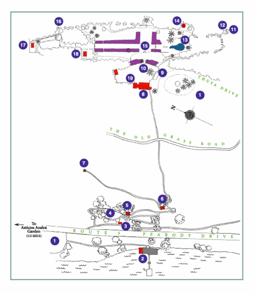 Thuya Garden Map