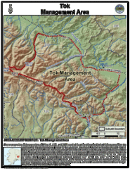 Tok, Alaska Tourist Map