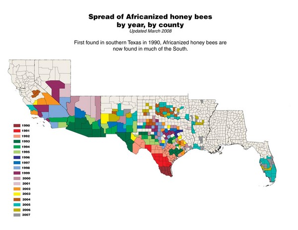 US African Honey Bee Map