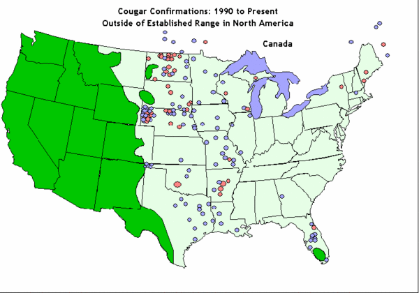 United States Cougar Territory and Eastern Sightings Map