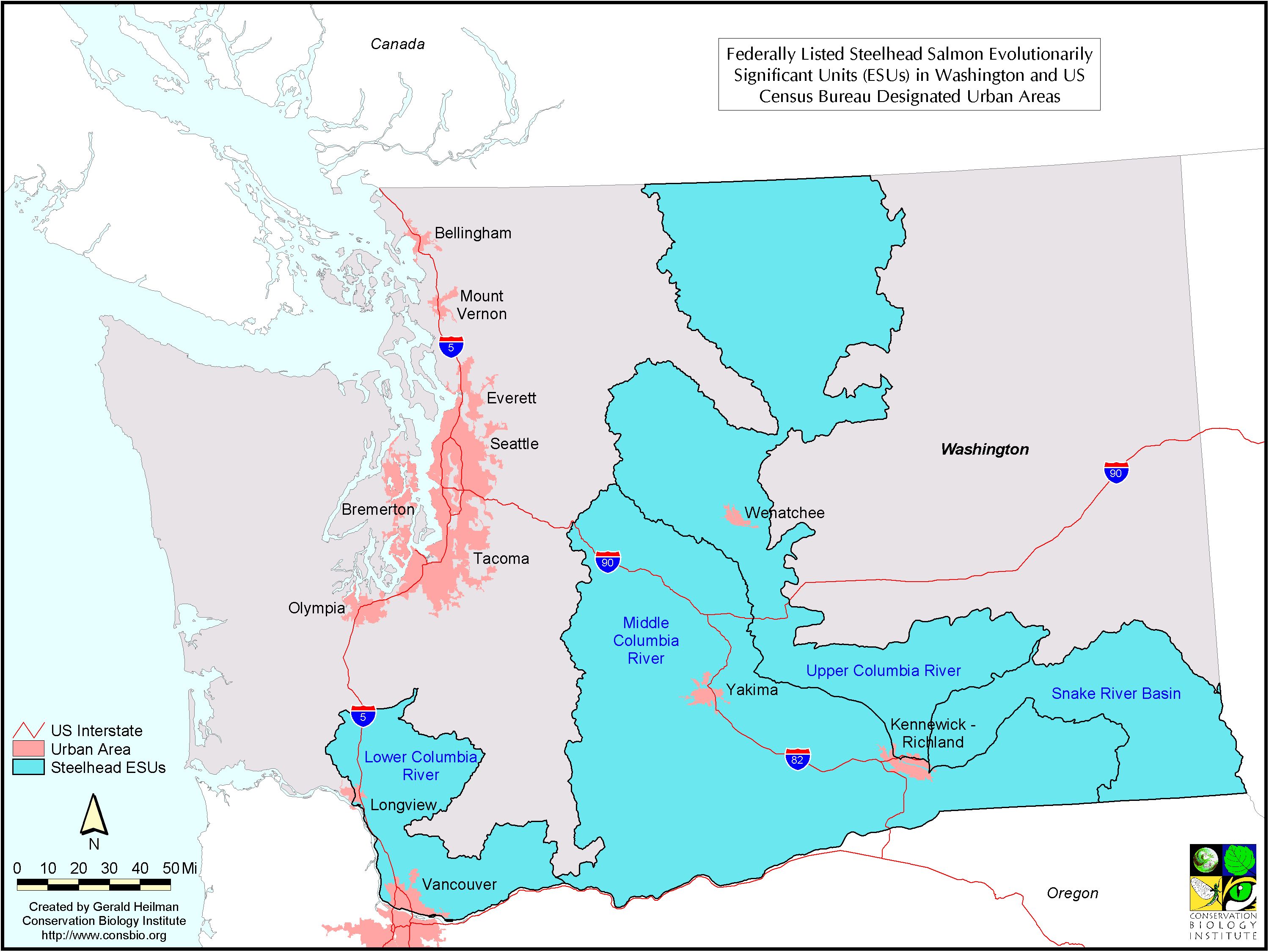 Washington Steelhead Salmon Map Washington State • mappery