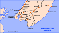 Wellington Map