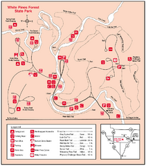 White Pines Forest, Illinois Site Map