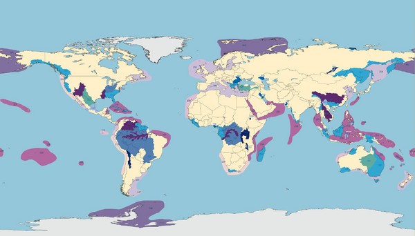 World Water Map